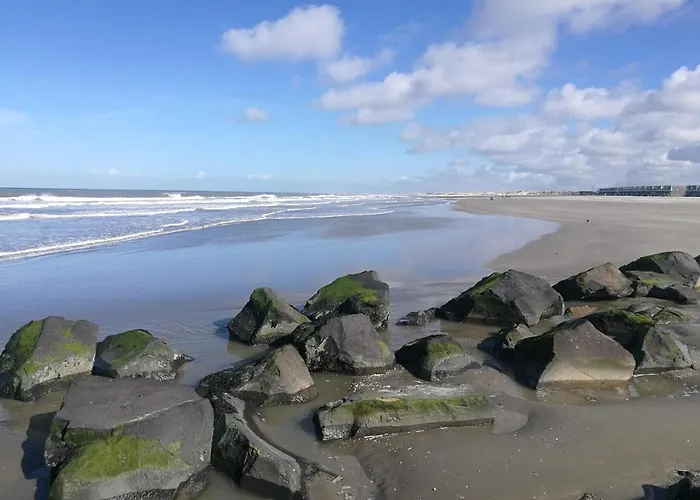 Noordzee Hotel Hoek van Holland